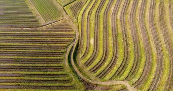 aerial view of green field