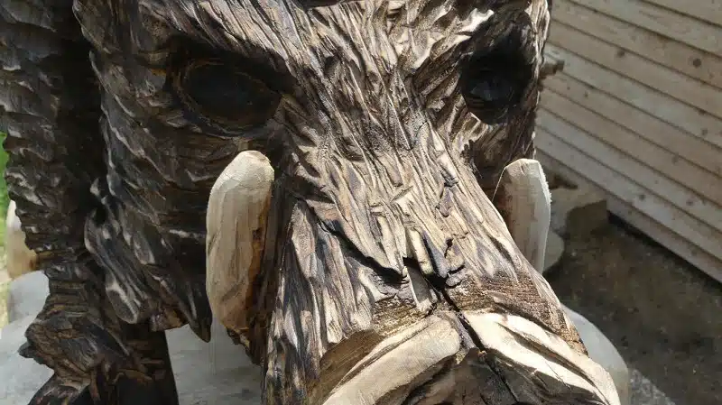 CrÃ©er des Âœuvres d'art en bois flottÃ©
