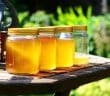 Que devez-vous savoir sur les miels CBD ?