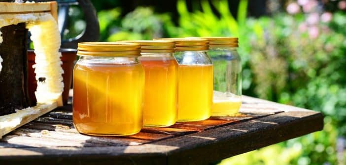 Que devez-vous savoir sur les miels CBD ?